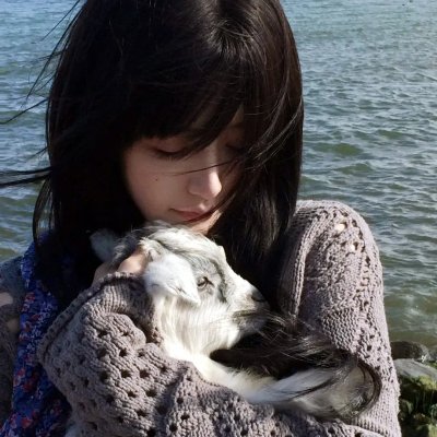 穿靴子的猫2