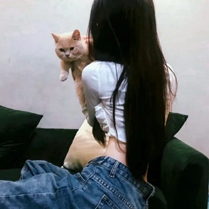 杀手猴