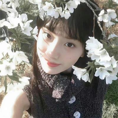 摇曳百合第二季